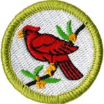 Bird Study Merit Badge