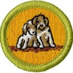 Dog Care Merit Badge